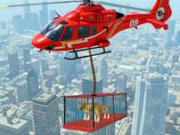 Animal Helicopter Rescue Game logo
