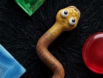 Color Snake Run logo
