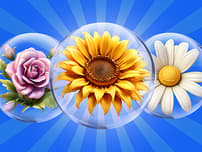 Dice Puzzle Flowers! logo