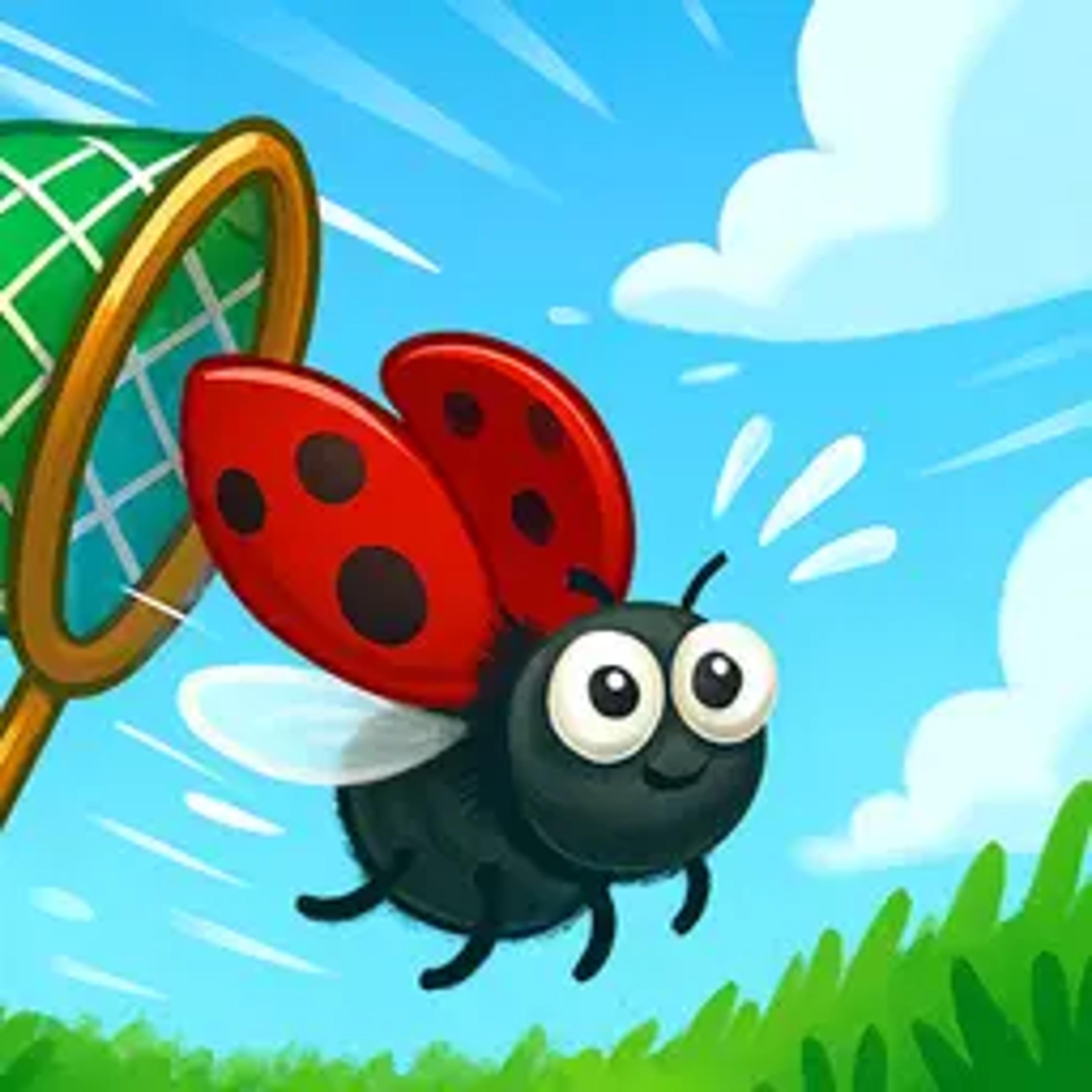 Catch Insect