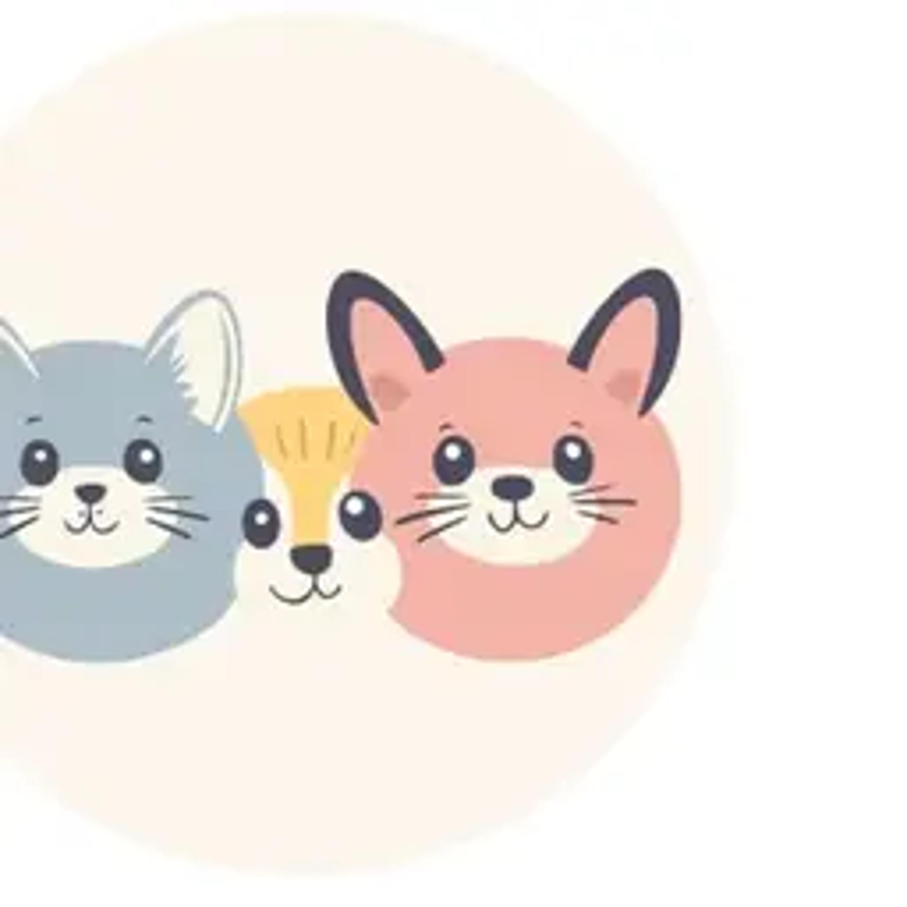 CRAZY ANIMALS