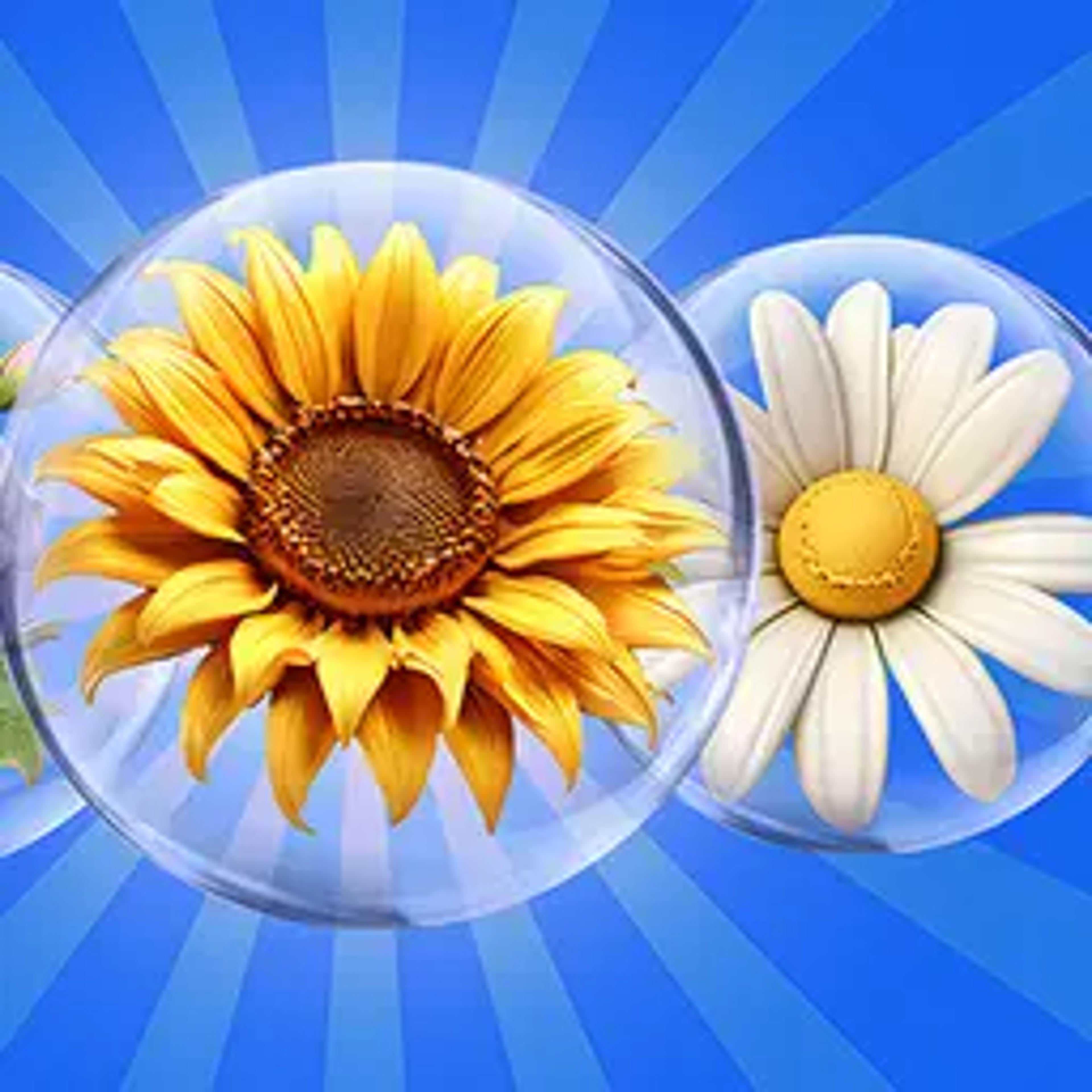 Dice Puzzle Flowers!