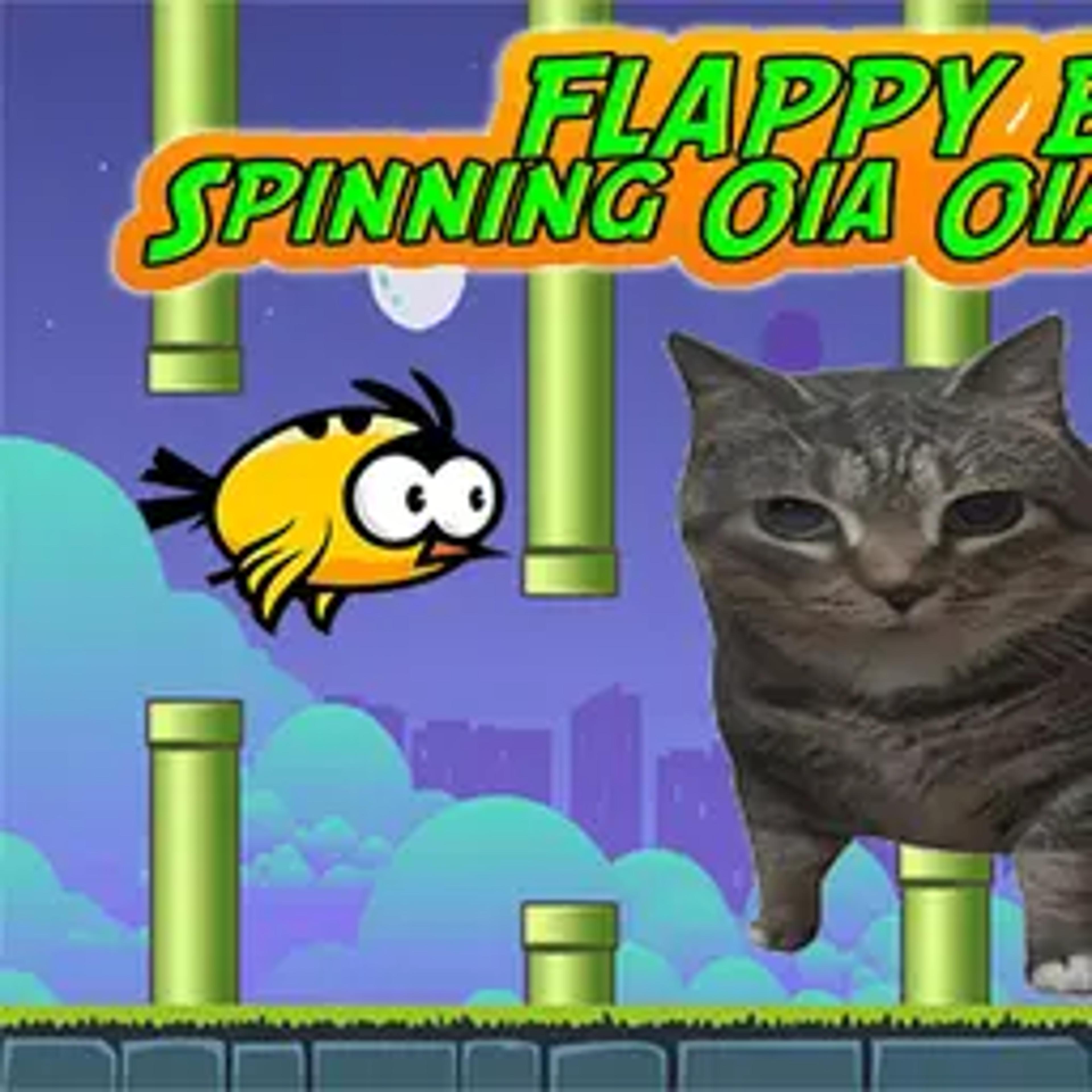 Flappy Bird Spinning oia oia Cat