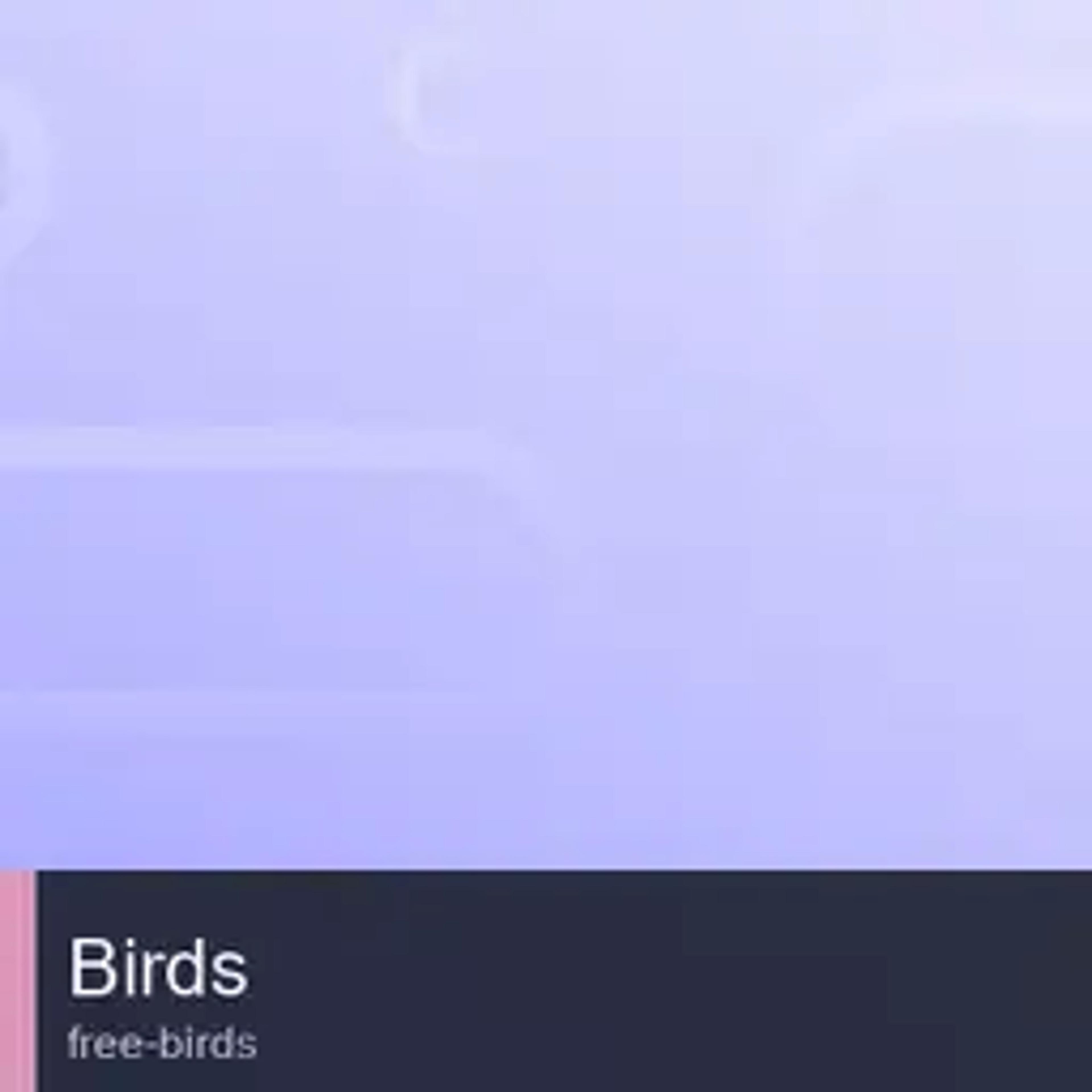 Free Birds